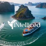 Ha Long Bay Unveiled Ultimate Tour Guide and Recommendations