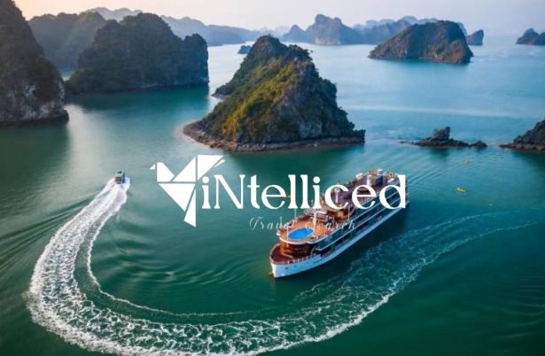 Ha Long Bay Unveiled Ultimate Tour Guide and Recommendations