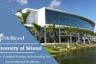 University of Miami Stamps Scholarship