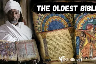 The Ethiopian Bible PDF