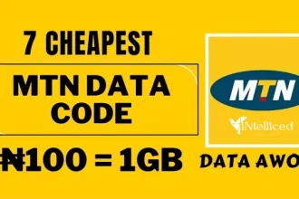 Cheapest MTN Data: 1GB for Just N100 on MTN with 30 Days Validity